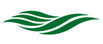 basil leaf a