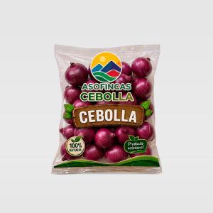cebolla