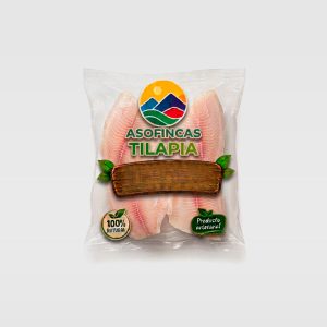 tilapia